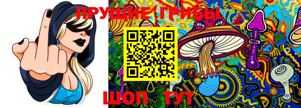 Люберцы  где можно купить наркотик  Вход с VPN  Псилоцибиновые грибы GOLDEN TEACHER 